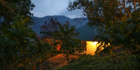 Jungle Luxury Family Cottage