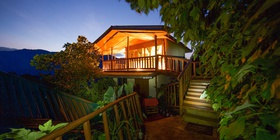 Diana Fossey Cottage